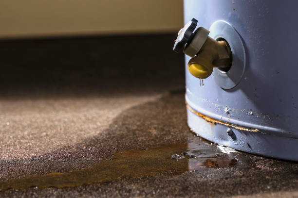 Best Water damage restoration near me  in Bayou Vista, TX