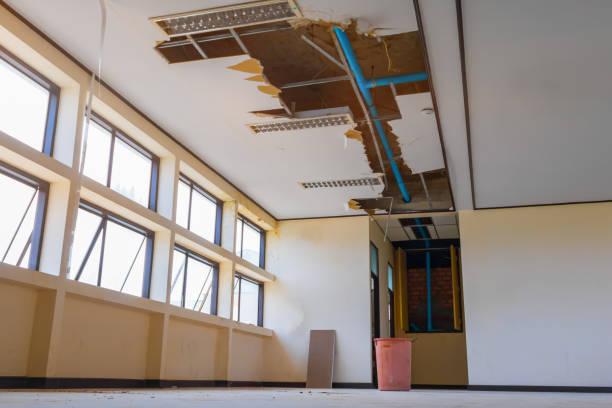 Best Water damage contractors near me  in Bayou Vista, TX
