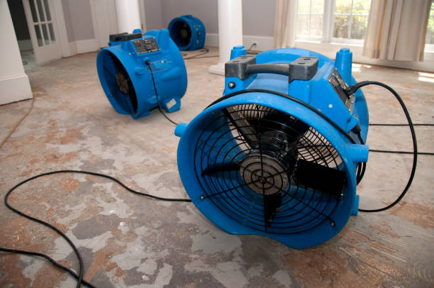 Professional Water damage restoration in Bayou Vista, TX