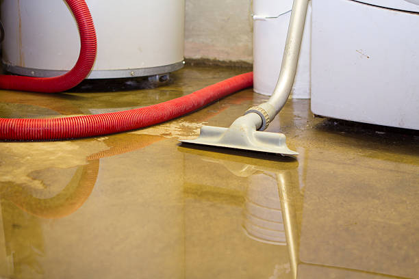 Best Mold removal after water damage  in Bayou Vista, TX