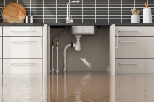 Best Emergency water damage restoration  in Bayou Vista, TX