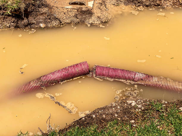 Best Flood damage cleanup  in Bayou Vista, TX