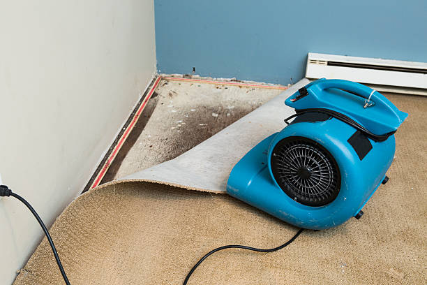 Best Water damage cleanup near me  in Bayou Vista, TX